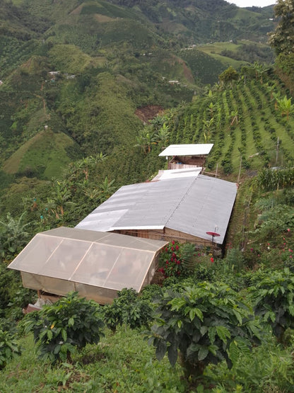 Acevedo Huila Colombia - Single Origin