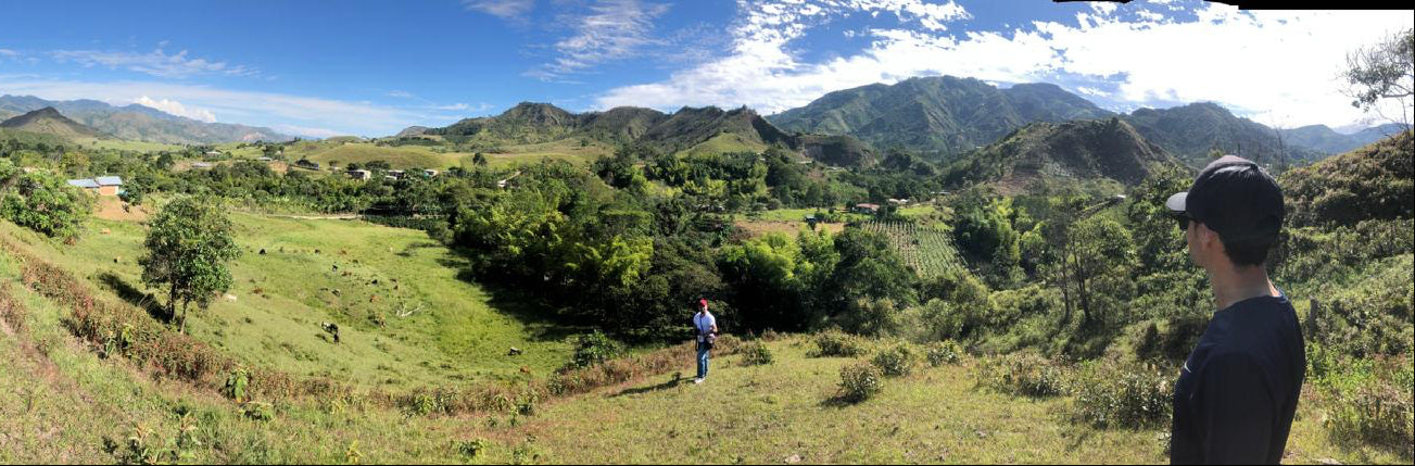 Panoramic view of Finca La Esperanza coffee farm in Acevedo, Huila, showing high-altitude Colombian coffee trees for Andaky Coffee Traders Victoria