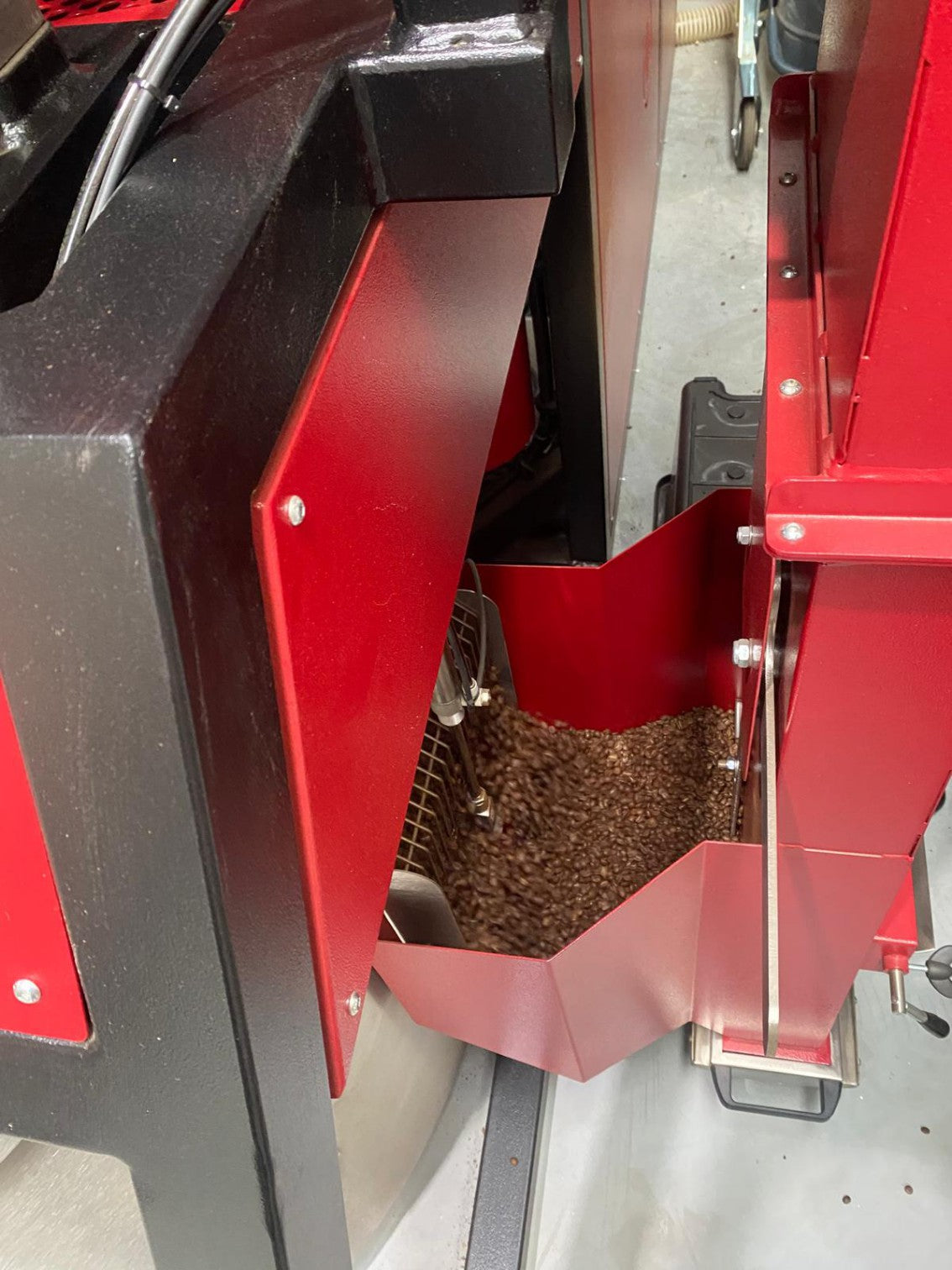 Acevedo Huila coffee beans reaching peak roast levels inside the precision roaster.