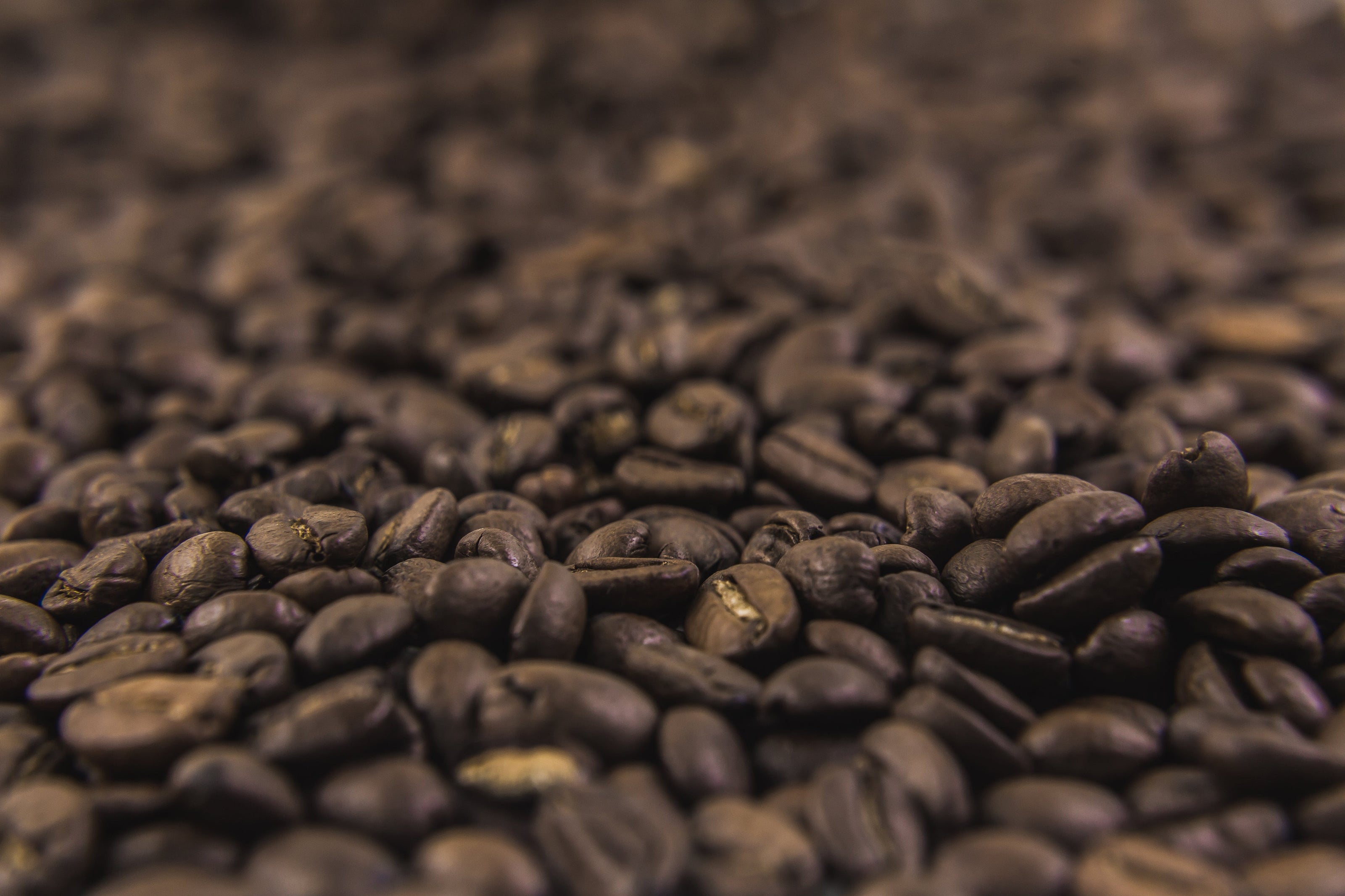 Every batch is roasted in Geelong using data-driven profiles to honor the heritage of our family farm, La Esperanza.