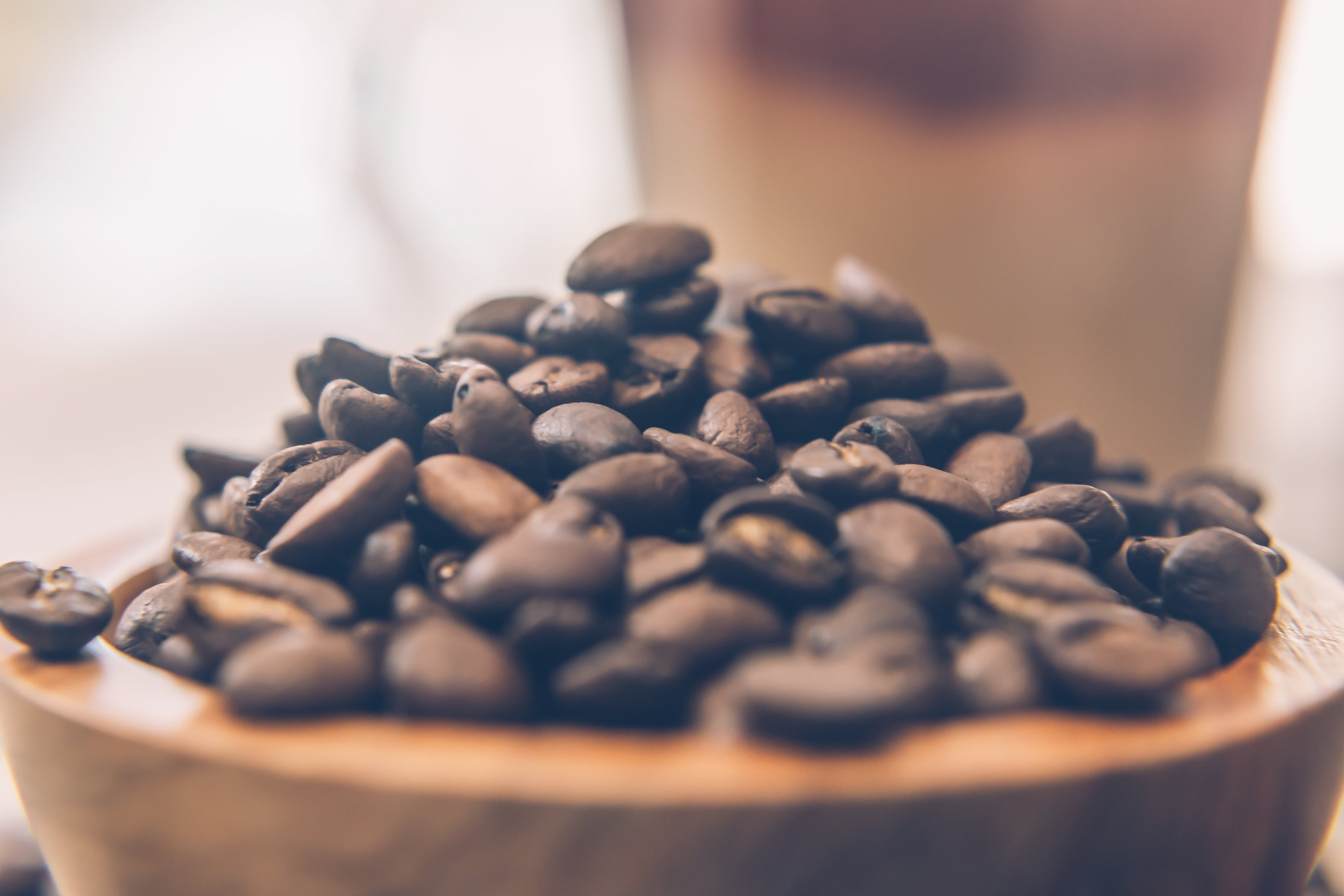Premium specialty coffee beans, precision-roasted in Geelong for cafes and home brewers across Melbourne and Victoria.