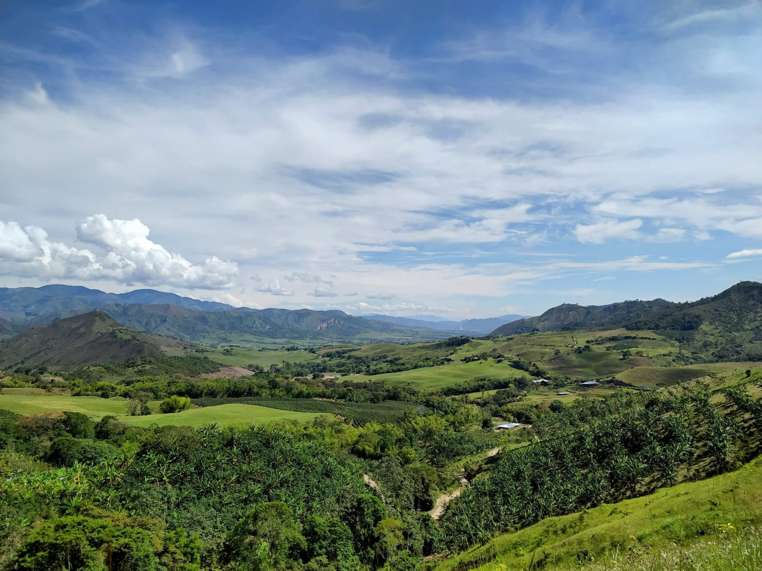 A sweeping view of the high-altitude specialty coffee farm in Huila, Colombia, providing direct-trade wholesale coffee beans to cafes in Geelong and Melbourne.